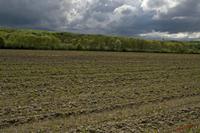 Cjp_2010_05_02_133006 (2).jpg